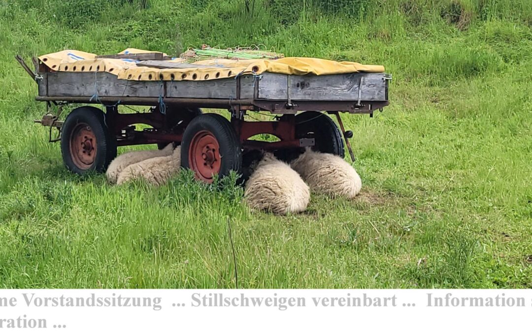 Ge(h/m)eine Vorstandssitzung